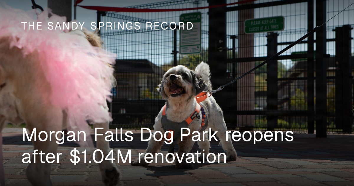 Morgan Falls Dog Park reopens after $1.04M renovation | The Sandy ...